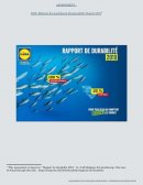 Analyse of CSR report: Lidl case