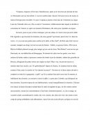 Commentaire de l'extrait du chapitre 10 de l'Assommoir d'Emile Zola