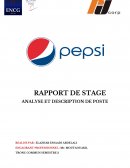 Rapport de stage Pepsi