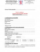 Fiche de candidature vide