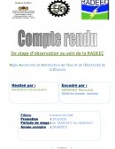 Rapport de stage d’observation au sein de la RADEEC