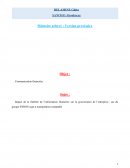 Impact de la fiabilité de l’information financière sur la gouvernance de l’entreprise : cas du groupe ENRON sujet à manipulation comptable