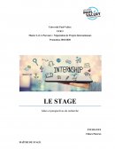 Rapport de stage