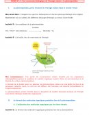 Une conversion biologique de l’énergie solaire : la photosynthèse