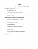 Cours M1 Psychologie cognitive (SPI)