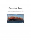 Rapport de stage MSC