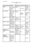 Tableau des besoins fondamentaux