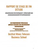 Rapport de Stage en entreprise