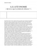 AEI d'Économie Qu’est-ce que la création de richesses ?