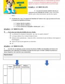 Méthodologie d'élaboration d 'un commentaire littéraire organisé et justifié