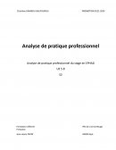 Analyse de pratique professionnel du stage en EPHAD