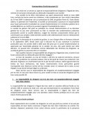 Commentaire d'arrêt responsabilité du dirigeant