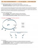 Raisonnement clinique infirmier