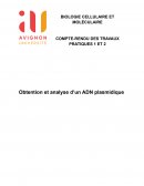 Biologie cellulaire / Obtention et analyse d'un ADN plasmidique