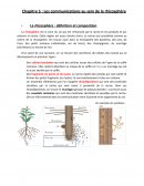 Les communications au sein de la rhizosphère