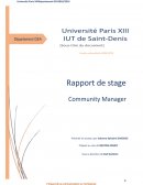 Rapport de stage community manager