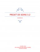 Présentation de la structure : Les Services de soins infirmiers à domicile (SSIAD) de la Croix-Rouge