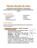 Les hernies discales du chien