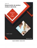 Rapport de tage - Responsable de secteur