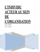 L'individu acteur au sein de l'organisation