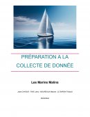 Préparation à la collecte de données