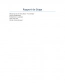 Rapport de Stage Marsa Maroc