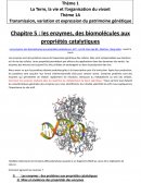 Les enzymes, des biomolécules aux propriétés catalytiques