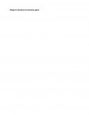 Compte rendu business game gestion d'entreprise