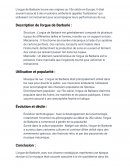 L'orgue de barbarie, courte présentation L'orgue de barbarie, courte présentation