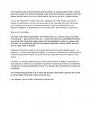 Ara, le chat qui attaque