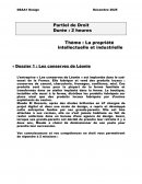 La propriété intellectuelle et industrielle